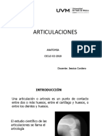 Articulaciones PDF