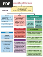 Infusión IV Adrenalina Pediátrica