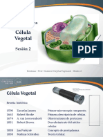 Celula Vegetal