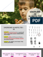 Sindrome de Klinefelter Ok