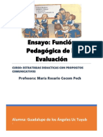 Ensayo. Funcion Pedagogica