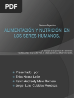 Alimentación Del Ser Humano