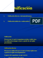 Osificacion