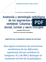 2 Anatomia y Semiologia Radiologica de Los Segmentos Del Eje Vertebral Columna Cervical Dorsal Lumbar y Sacro Coccigea PDF