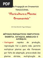 Tradicionalflor2012 PDF