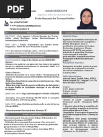 Cvsabahderkaouiehtpelectrique2015 PDF