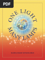 One Light Many Lamps