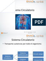 Clase 9 Sistema Circulatorio