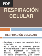 Respiración Celular