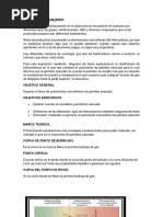 Yacimiento de Petroleo Saturado (1) 23