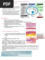 Penicilina y Betalactimicos