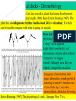 Biological Clocks - Chronobiology: Bean Leaf Position Reflects