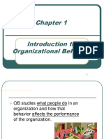 Introduction To Organizational Behavior