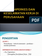 Audit Hiperkes Dan Keselamatan Kerja Di Perusahaan