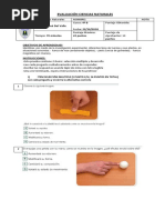 Evaluacion Ciencias Naturales Las Fuerzas