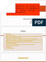 Plan de Prevencion de Gestion de Riesgos Profesional