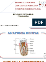 Enfermedades Periodontales