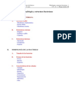 Caracteristicas Morfologicas de Las Bacterias