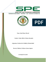 G1.Cuñas - Micho.cristina - Gestión de La Calidad y Productividad