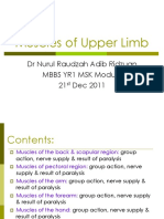 MBBS MSK YR1 Muscles of Upper Limb