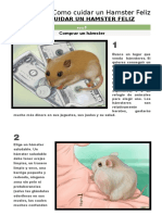 Como Cuidar A Un Hamster Feliz