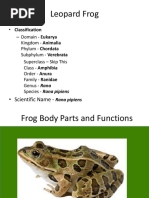 Frogbodypartsandfunctions Leopard Frog