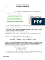 Teoria de La Combustion