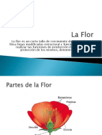 Partes de La Flor