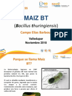 PDF Documento