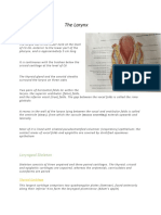 The Larynx: Structure