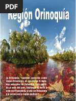 Revista Region Orinoquia