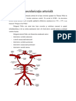 Vascularizația Arterială Și Venoasă A Creierului - Curs Complet Studenti