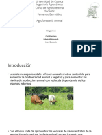 Agroanimal