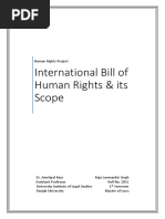 Optional Protocols To The International Bill of Human Rights