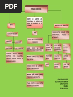 Mapa Conceptual Enzimas Digestivas