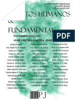 Sgarbossa & Iensue Direitos Humanos e Fundamentais IBPJ 2018