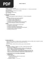 Proiect Didactic - m2 - Indreptarea - Clasa A IX A