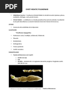 Chist Hidatic Pulmonar