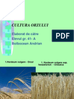 Cultura Orzului