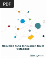 Resumen Ruta Innovación Nivel Profesional Abp