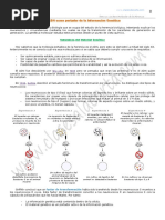 12 Base Molecular Herencia 2 Bach PDF