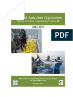 Food and Agriculture Organization: Maldives Country Programming Framework