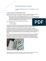 Identificar Especies PDF