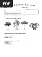 Prueba Ciencias Las Plantas