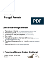 Fungsi Protein - Andri Josua Sianipar