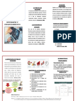 Triptico Toma Las Decisiones de Inversión y Financiamiento - Con Bibliografia (Autoguardado)