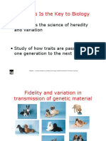 Genetics - Cours 1