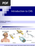 Introduction To CNS: Montoya, Irene Jane M. MS Pharmacy