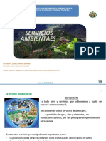 Servicios Ambiental E S: Universidad Nacional Amazonica de Madre de Dios (Facultad de Derecho Y Ciencias Politicas)