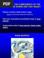 What Are The Components of The Blood, and Where Are They Made